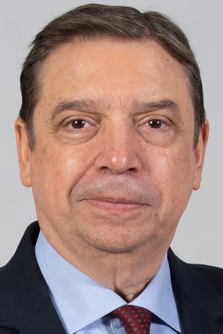 Luis Planas Puchades